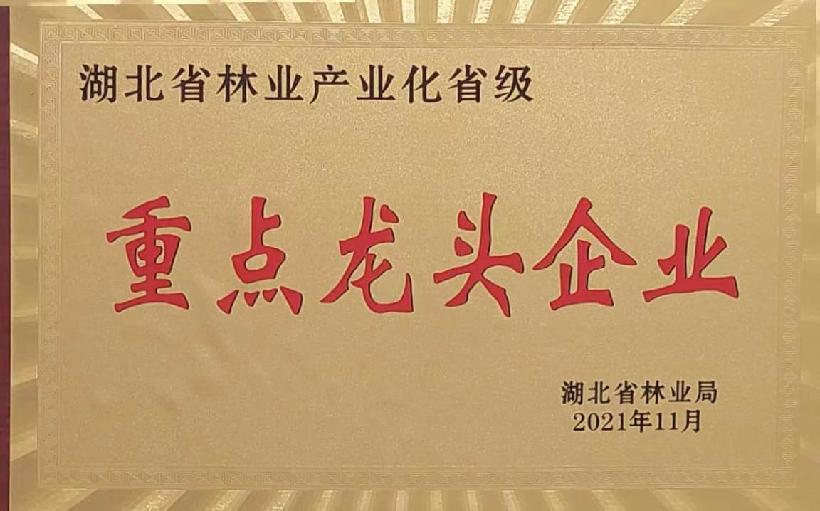 省林業(yè)產業(yè)化重點龍頭企業(yè)（2021）