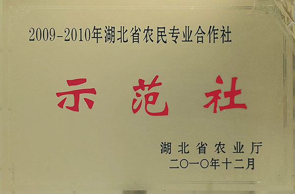 農民專業(yè)合作社示范社